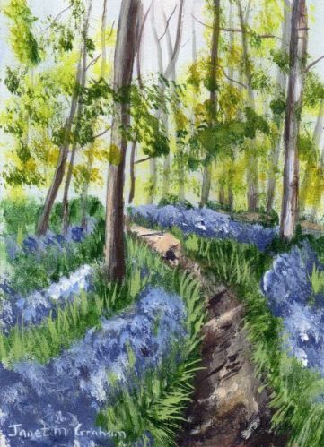 Bluebell Forest ACEO by Janet M Graham